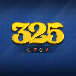 325 card games offline | 235 아이콘